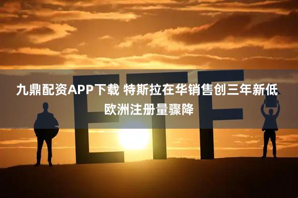 九鼎配资APP下载 特斯拉在华销售创三年新低 欧洲注册量骤降