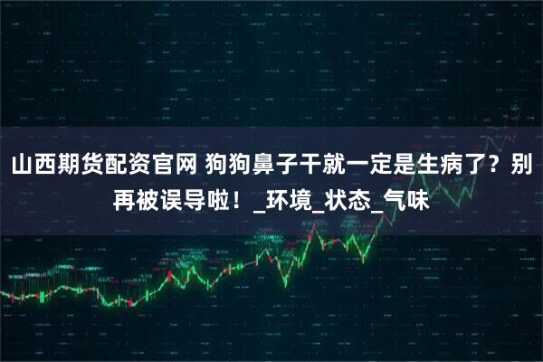 山西期货配资官网 狗狗鼻子干就一定是生病了？别再被误导啦！_环境_状态_气味