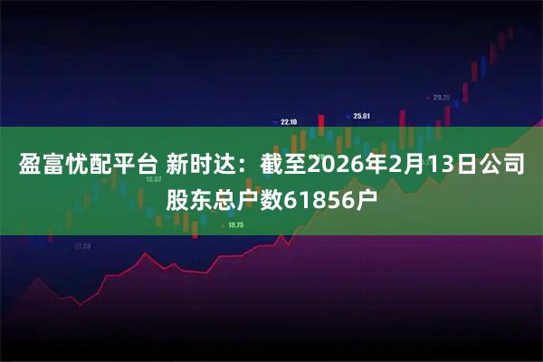 盈富忧配平台 新时达：截至2026年2月13日公司股东总户数61856户